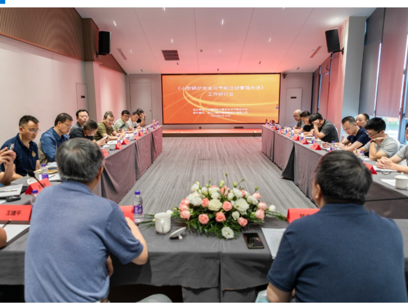 The work seminar of Small-Scale Boiler in Deqing